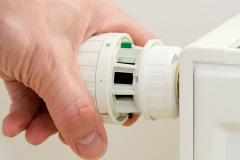 Pleshey central heating repair costs