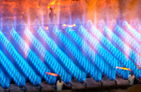 Pleshey gas fired boilers